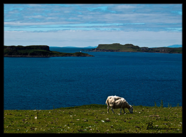 Isle of Skye Views