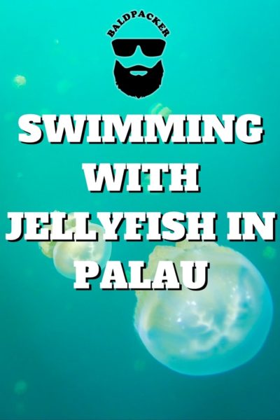 Palau Jellyfish