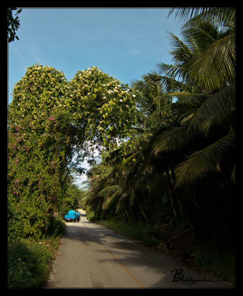 Side Road on Saipan