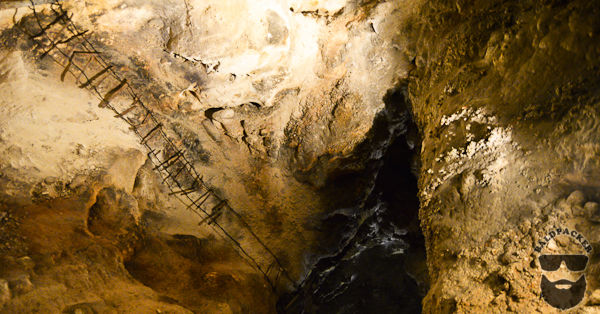 Carlsbad Caves Ladder
