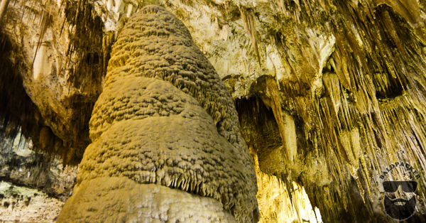 Giant Stalagmite Surrounded by Stalactites in the Carlsbad Cavern