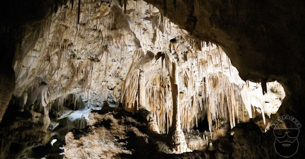 Columns and Stalactites in Carlsbad Cavern