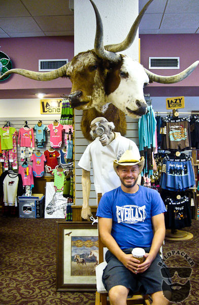 Two-Headed Longhorn in Whites City Gift Shop