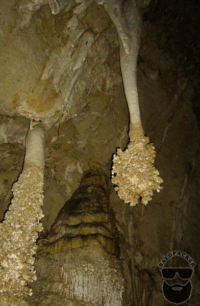 The "Lions Tail" - A Stalactite with Popcorn in Carlsbad Cavern